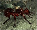  Classic Wasteland Creatures Retexture