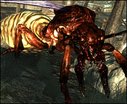  Classic Wasteland Creatures Retexture