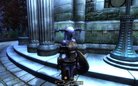  HGEC- Yet Another Armor Replacer Mod - Fur Armor