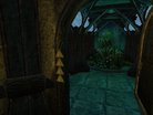  Morrowind Stargate Client