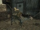  Dogmeat Outfits