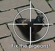  Pigeons Detector Plus v1.1