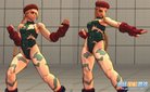  Skin - Cammy Tattered