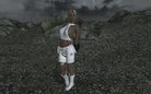  FO3-Oblivion-Conversions for Type 3