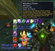  Totem Timers