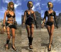  New Vegas Type3 armor pack