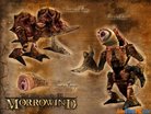  MORROWIND 2011 GRAPHICAL PROJECT