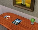  Decorative Apple iPad