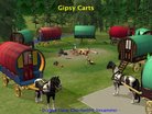  Voiture : Gipsy Carts