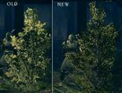  Dark Souls Flora Overhaul