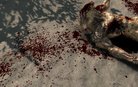  Enhanced Blood Textures