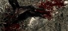  Enhanced Blood Textures