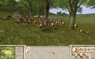  Amazons : Total War