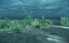  abyssal depths : ClimateZone