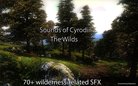  Sounds of Cyrodiil