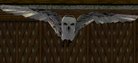  Owl - New Pet/Cage Mesh (chouette)
