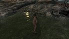  Nude Females (Nude Patch)