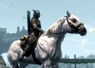  Reskin : Enhanced Horse Skins