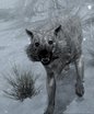  Retextured Wolves and Pelts