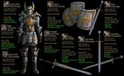  Grey Warden Runic Armor