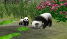  Pandas