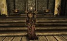  Dragon Priests Armor