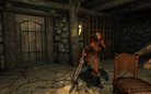  FNIS - Fores New Idles in Skyrim