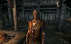  CM New Companions Mod