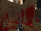  Brutal Doom