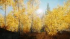  The Wilds ENB