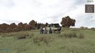  DayZ