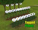  Tagged Plants