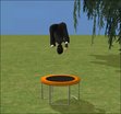  Trampoline pour Sims