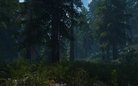  Vurts Skyrim Flora Overhaul