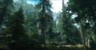  Vurts Skyrim Flora Overhaul