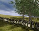  Napoleonic Total War