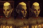  Oblivion Character Overhaul