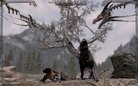  Tame the Beasts of Skyrim II