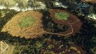  Azorzeia – Garden of the Wild