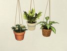  Plantes Suspendues Modulables