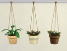  Plantes Suspendues Modulables