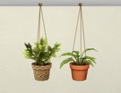  Plantes Suspendues Modulables