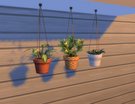  Plantes Suspendues Modulables