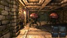 Images et photos Legend Of Grimrock