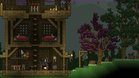 Images et photos Starbound