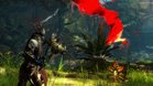 Images et photos Guild Wars 2 : Heart Of Thorns