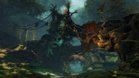 Images et photos Guild Wars 2 : Heart Of Thorns