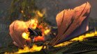 Images et photos Guild Wars 2 : Heart Of Thorns