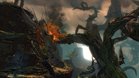 Images et photos Guild Wars 2 : Heart Of Thorns