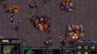 Images et photos StarCraft